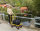 Plattformwagen, 700 x 454 mm, 400 kg Tragf&auml;higkeit, Gelb, luftbereift