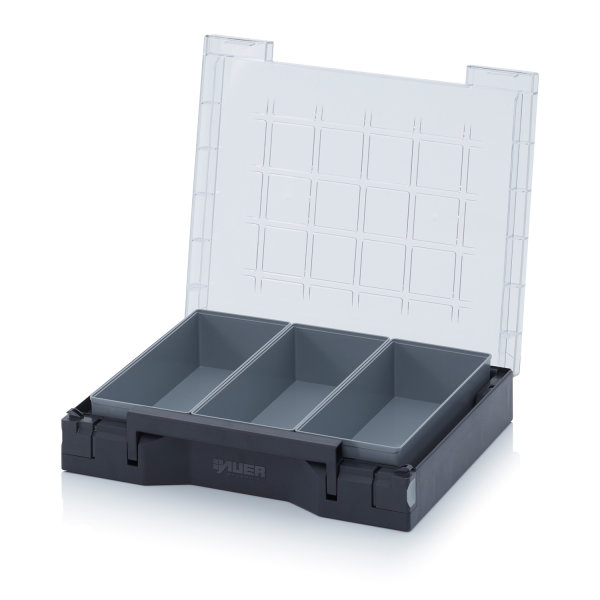 Sortimentsbox best&uuml;ckt 35 x 29,5, Best&uuml;ckung 5, 350x295x71 mm