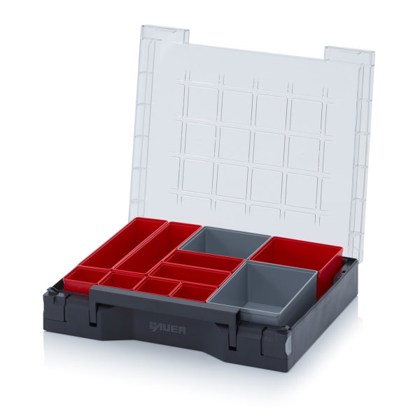Sortimentsbox best&uuml;ckt 35 x 29,5, Best&uuml;ckung 6, 350x295x71 mm